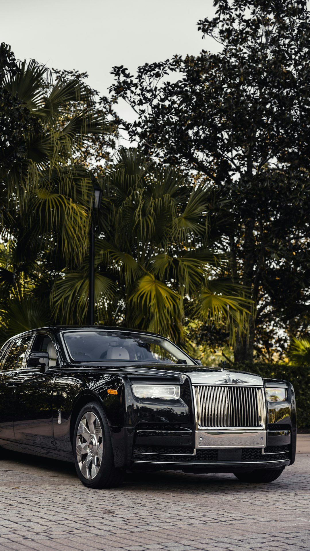 a-black-rolls-royce-parked-in-front-of-some-trees-hfa1gbxwb-8